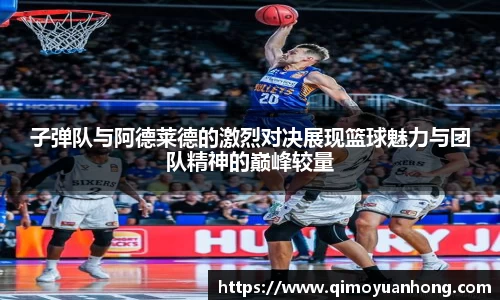 必一运动b-sports官方网站