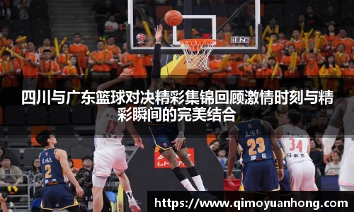 必一运动b-sports平台
