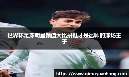 必一运动b-sports官网